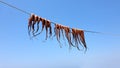 Octopus dried under the sun. Mandraki town. Nissiros island in the Greek Dodecanese Islands Royalty Free Stock Photo