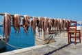 Octopus drying in greece naxos island