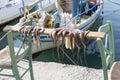 Octopus drying on a stick in Chania, Greece Royalty Free Stock Photo