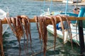 Octopus drying in the sun