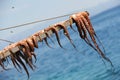 Octopus drying at the sun in Chios Island.