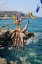 Octopus drying in the sun Greece Europe Royalty Free Stock Photo