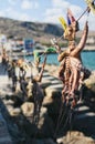 Octopus drying in the sun Greece Europe Royalty Free Stock Photo