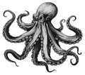 Octopus engraving. Devilfish engraved sketch vector illustration, sea monster vintage aquatic etching, wild etched