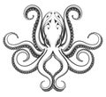 Octopus engraving illustration