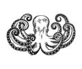 Octopus engraving. Vintage black engraving illustration. Retro style card. Isolated on white background. Royalty Free Stock Photo