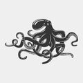 Octopus with feeding tentacles and wavy arms with suction cups on it. Camouflaging cuttlefish and swimming mollusk