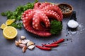Octopus food salad vegetable with garlic lemon chili salt coriander parsley and pepper on black plate for boiled cooked seafood, Royalty Free Stock Photo