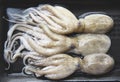 octopus fresh raw squid seafood on tray the restaurant Royalty Free Stock Photo