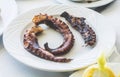 Octopus in a Greek restaurant Royalty Free Stock Photo