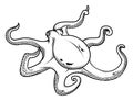 Octopus hand drawing vector Royalty Free Stock Photo