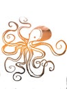 Octopus hand drawing vintage engraving illustration on white background Royalty Free Stock Photo