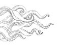 Octopus. Hand drawn background with octopus. Cartoon underwater marine animal. Coloring vector illustration of kraken or Royalty Free Stock Photo