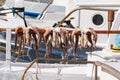 Octopus hanging up on a stick Naoussa, Paros Island, Greece Royalty Free Stock Photo