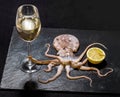 Octopus holds wine with lemon Royalty Free Stock Photo