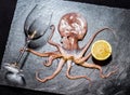 Octopus holds wine with lemon Royalty Free Stock Photo