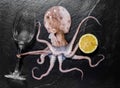 Octopus holds wine with lemon Royalty Free Stock Photo