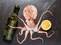Octopus holds wine with lemon Royalty Free Stock Photo