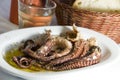 Octopus house wine Greek taverna specialty Royalty Free Stock Photo