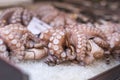 Octopus on ice at the market