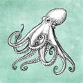 Octopus ink sketch Royalty Free Stock Photo