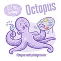 Octopus. Interesting facts about sea animals. Did you know