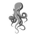Octopus kraken illustration