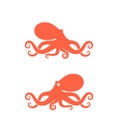 Octopus logo. Isolated octopus on white background