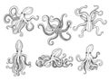 Octopus. Ocean fishes big underwater monster wild squid vector hand drawn marine tattoo template Royalty Free Stock Photo