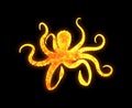 Octopus outline with a bright fire pattern isolated on a black background