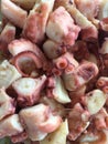 Octopus pieces Royalty Free Stock Photo