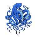 Octopus. Poulpe, devilfish. Seafood illustration. Royalty Free Stock Photo