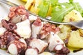 Octopus salad Royalty Free Stock Photo