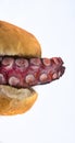 Octopus Sandwich. Royalty Free Stock Photo