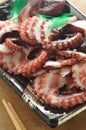 Octopus Sashimi