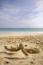 Octopus sculpture on beach Royalty Free Stock Photo