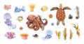 Octopus, sea turtle, squid, cuttlefish, calamari, jellyfish, coral watercolor illustration big set. Hand drawn sea life animals. Royalty Free Stock Photo