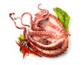 Octopus served with vegetables, sea food. Freshly boiled octopus isolated on white background