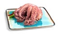 Octopus serving with vegetables, sea food. Freshly boiled octopus on a blue plate, Mediterranean cuisine