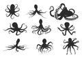 Octopus silhouette, Octopus vector, Octopus silhouettes, Octopus clipart, Octopus icon set