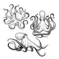 Octopus sketch hand drawn vector illustrations set. Engraving line art collection.