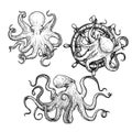 Octopus sketch hand drawn vector illustrations set. Octopus on the helm. Engraving line art collection.