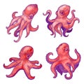 Octopus sketch vector, undersea ocean animal cartoon