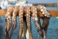 Octopus on stick Royalty Free Stock Photo