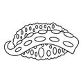 Octopus sushi icon, outline style Royalty Free Stock Photo