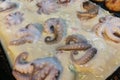 Octopus takoyaki japanese food and Appetizer asian food