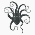 Octopus tattoo upside down, mollusk or squid Royalty Free Stock Photo