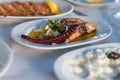 octopus tentacle dish served in plate