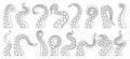 Octopus of tentacle isolated outline icon. Sea squid vector outline set icon. Vector illustration octopus of tentacle on Royalty Free Stock Photo