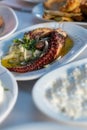 octopus tentacle salad served in plate